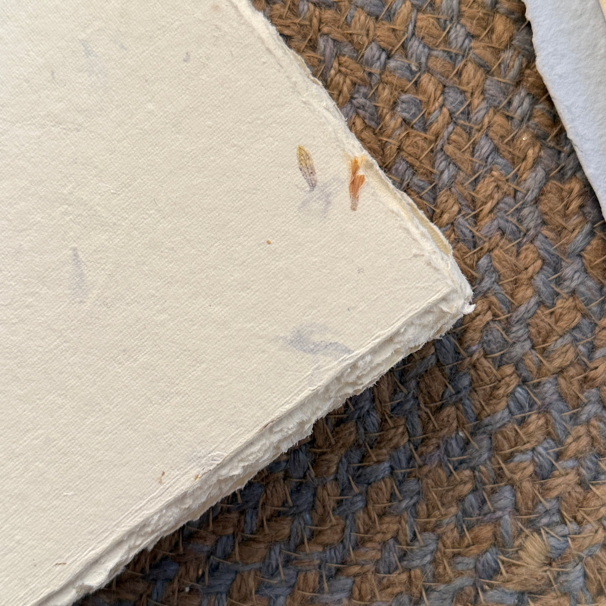A5 Deckle Edge Art Book –  ivory Flower