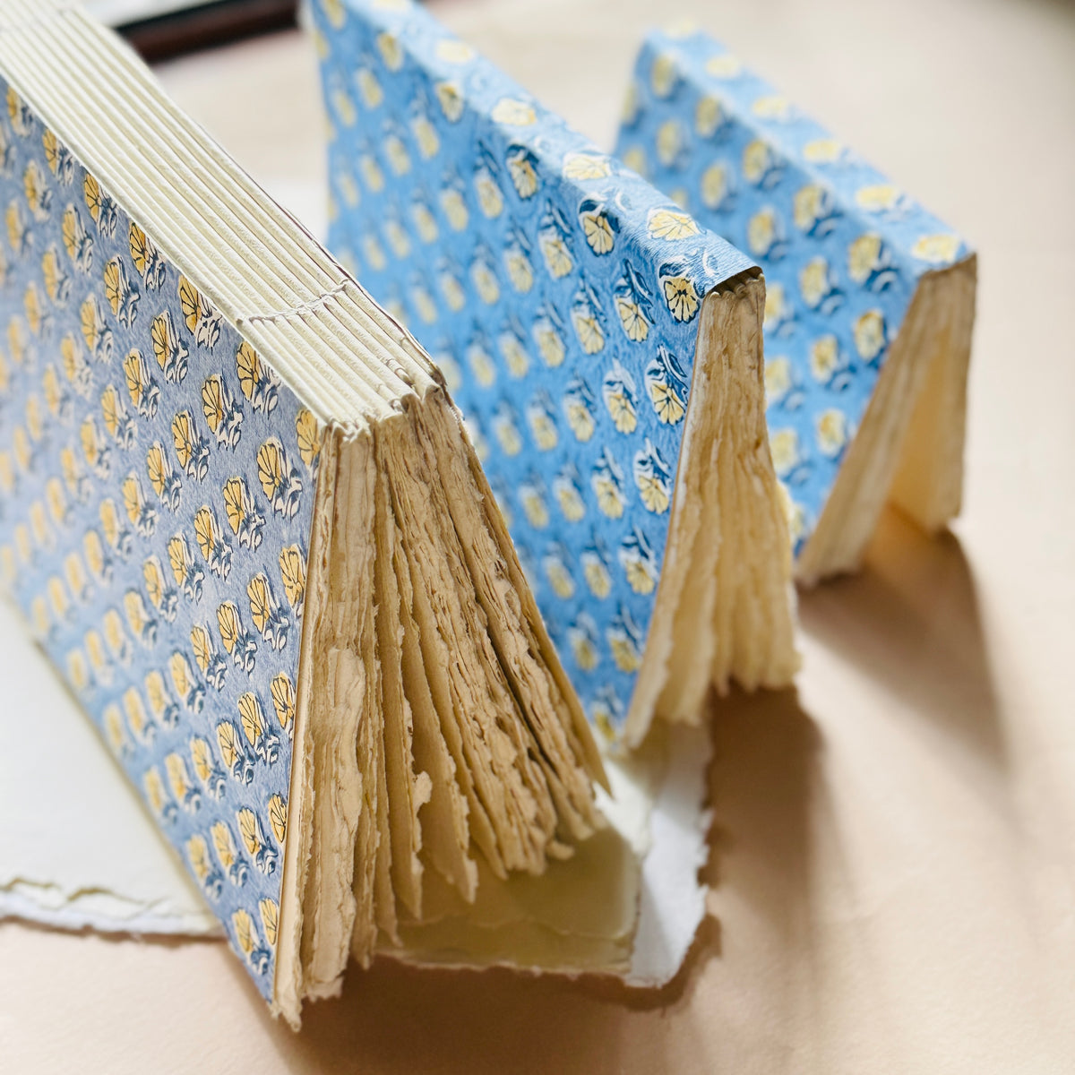 Block Print Cover Deckle Edge Journals- Blue Print (set of 3)