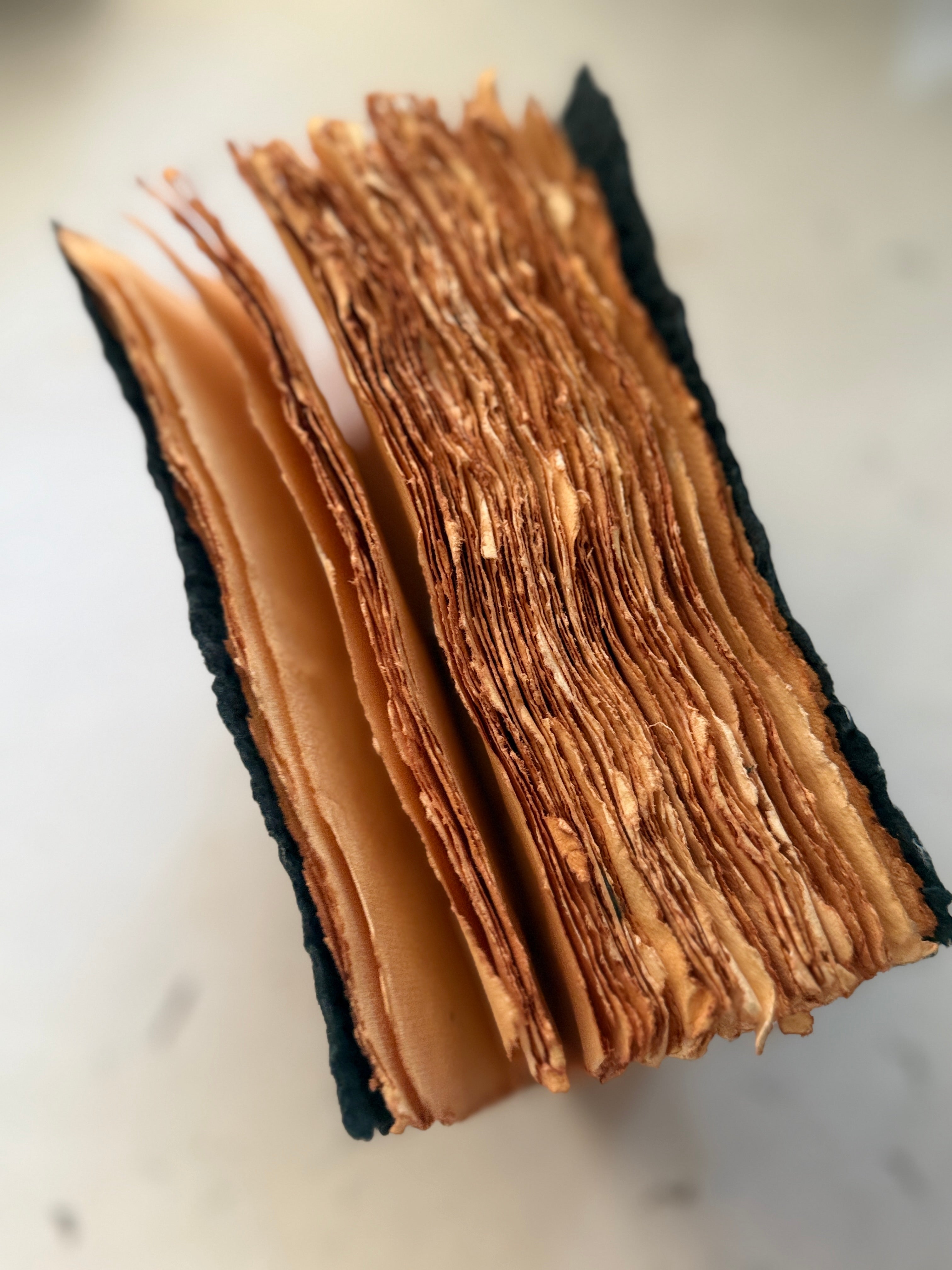 A close-up of a book with thick, aged, tan and brown pages fanned out against a light neutral background.
