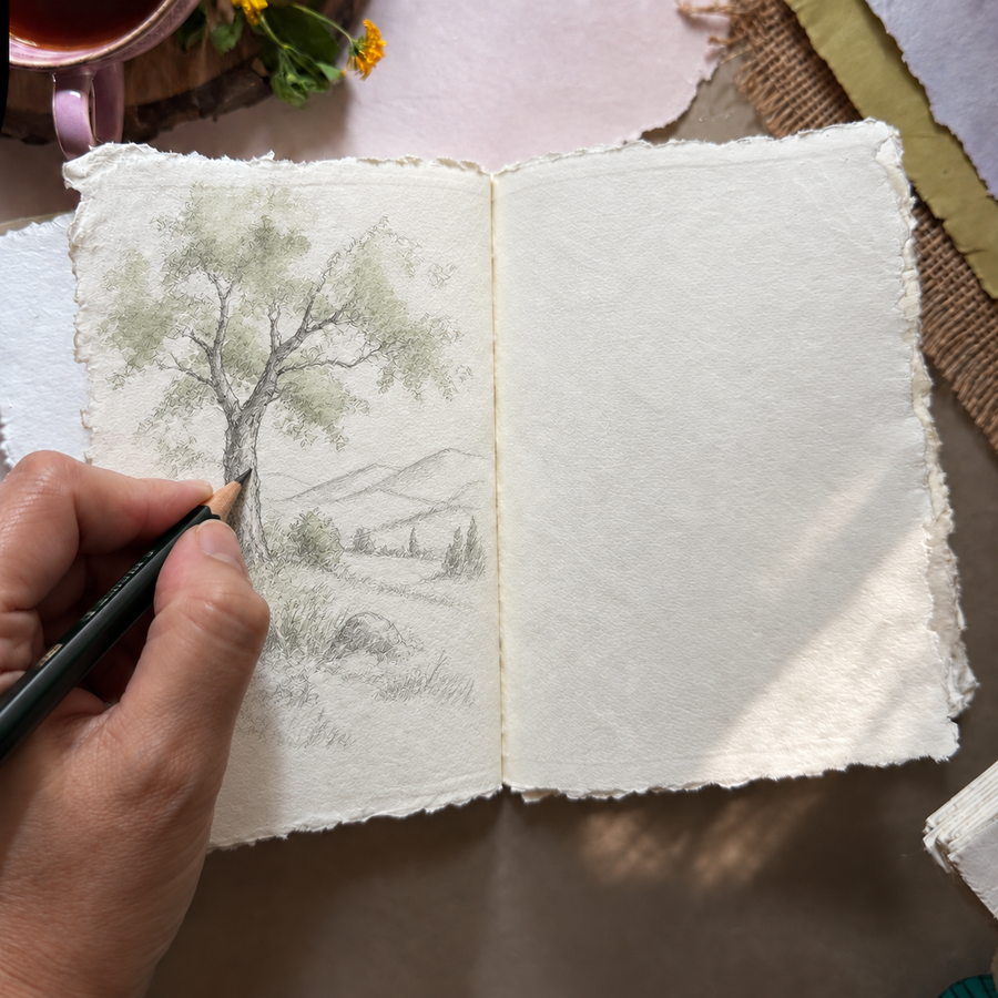 Sketch & Mixed Media